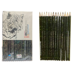 Pencils (Graphite) | Camlin | 14 PCS Hexagonal Pencils with 1 PCS Free Charcoal Pencil